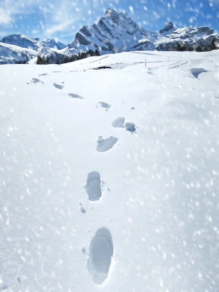 在深雪中的足迹 — 图库照片