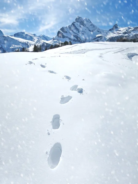 Fußabdruck im Tiefschnee — Stockfoto