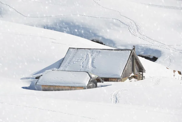 Фермерские дома похоронены под снегом — стоковое фото