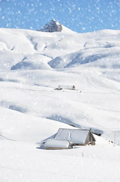 Farm houses buried under snow — Stock Photo, Image