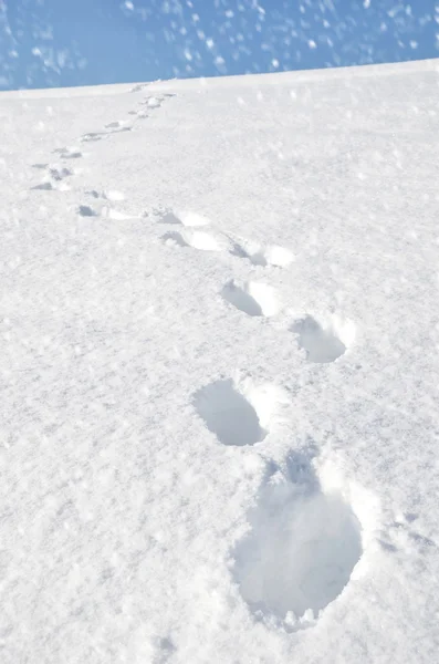 脚步声在雪地里山 — 图库照片