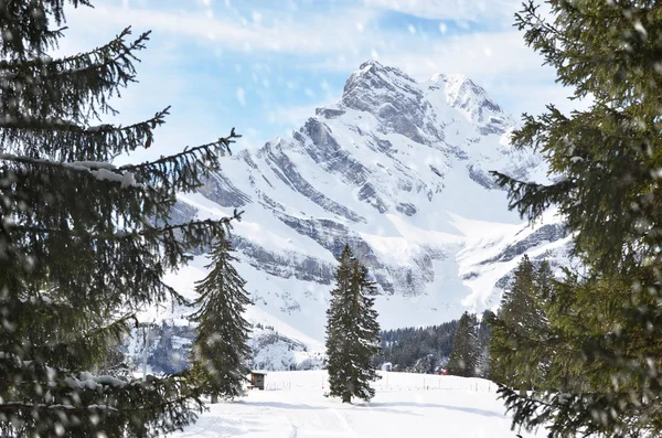 Braunwald paisagem de inverno — Fotografia de Stock