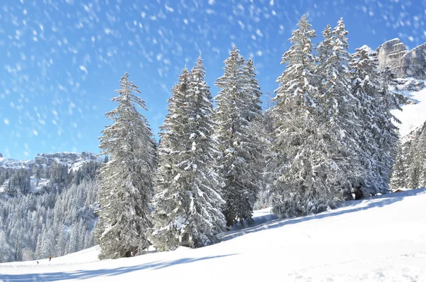 Paisaje de invierno Braunwald — Foto de Stock