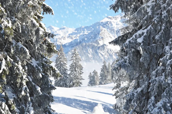 Braunwald winter landscape — Stock Photo, Image