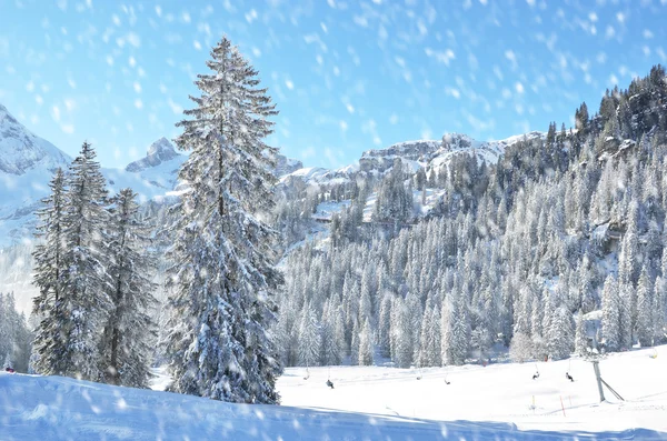 Braunwald 冬の風景 — ストック写真