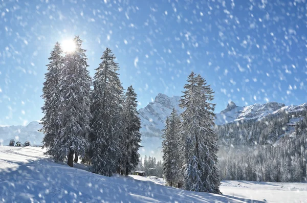 Braunwald kış manzarası — Stok fotoğraf