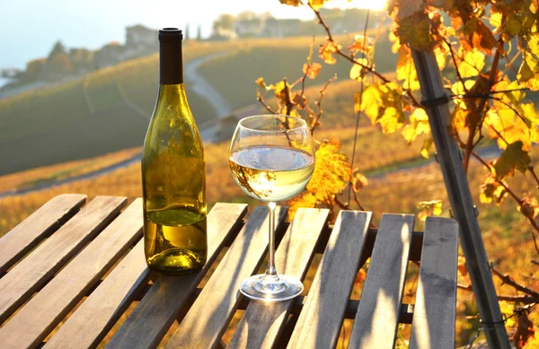 Weißwein auf dem Tisch — Stockfoto