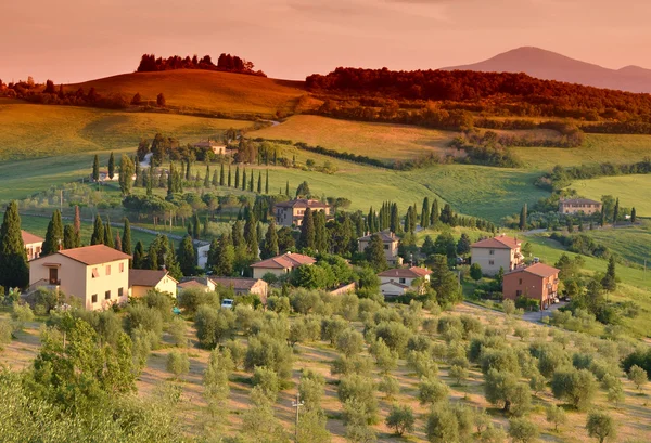 Typisch landschap van Toscane — Stockfoto