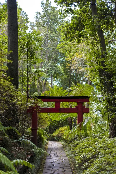 Pagoda v lese. — Stock fotografie