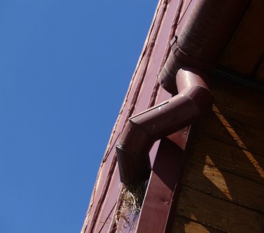 Kuş yuvası sefalet içinde