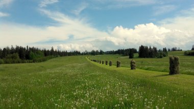 dağ çayır, saman kurutma