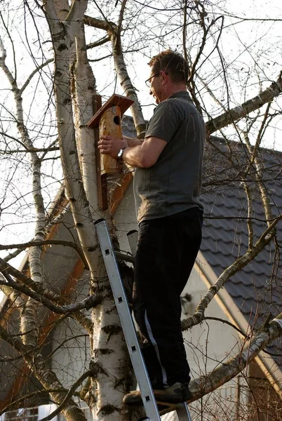 鳥の家に吊るした男 — ストック写真
