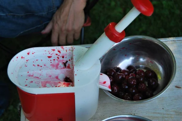 Pitting Red Cherries Picked Garden — Stock Photo, Image