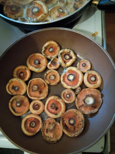 Sauted Saffron Mushrooms Pan — Stock Photo, Image
