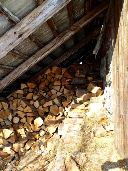 Firewood for the winter — Stock Photo, Image