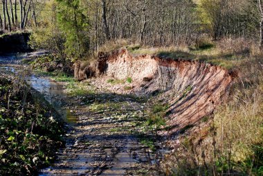 zarar kenarları Ever