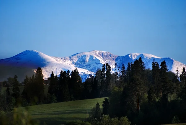 Picos de montaña nieve — Foto de Stock