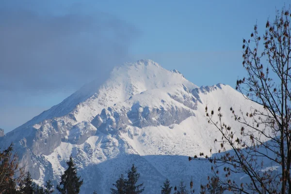 Pics de montagne de neige — Photo