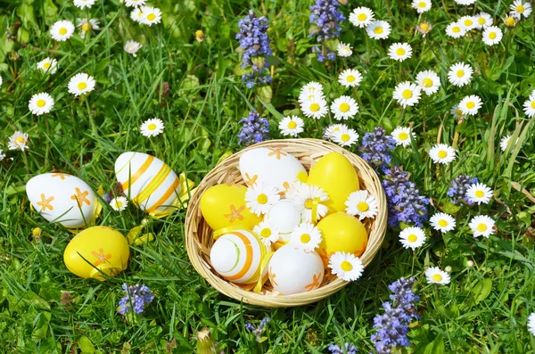 Easter eggs in the grass — Stock Photo, Image