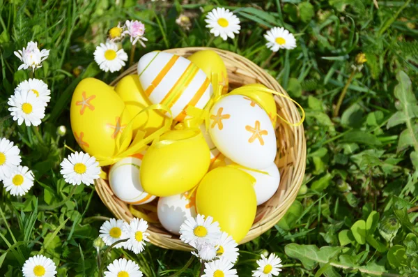 Easter eggs in basket — Stock Photo, Image