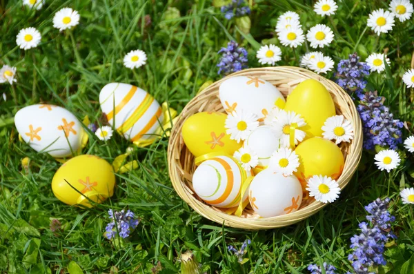 Huevos de Pascua en cesta — Foto de Stock