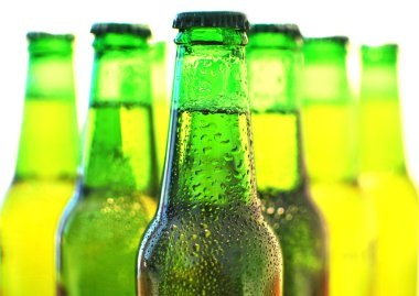 satır bira şişeleri