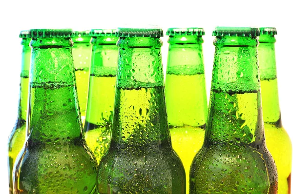 Row of beer bottles — Stock Photo, Image