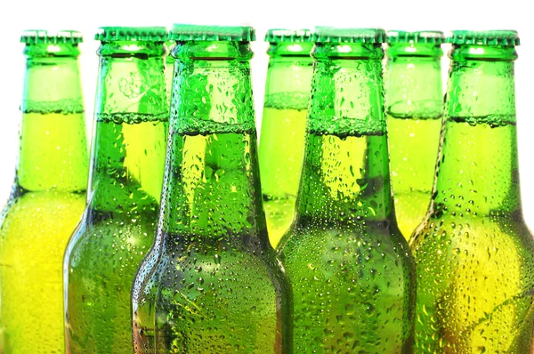 Row of beer bottles — Stock Photo, Image