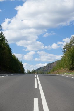 Dağlara giden yol.