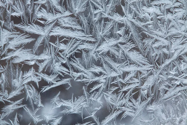 Frosty Ritning Glas Vackert Mönster Stockfoto