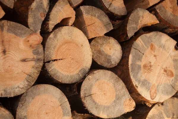 Bois de chauffage sec empilé dans une pile — Photo