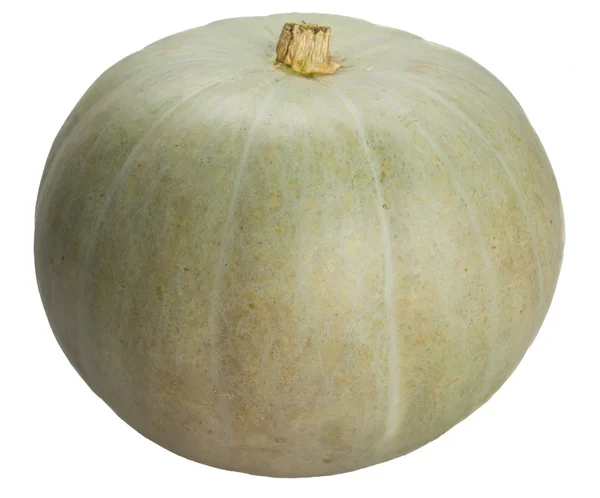 Pumpkin on a white background. isolation — Stock Photo, Image