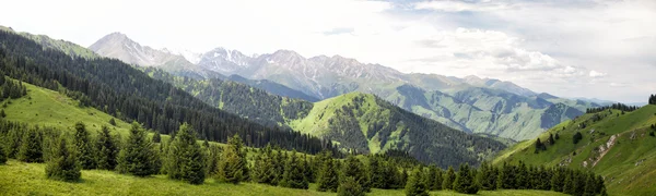 全景图山的天山，哈萨克斯坦. — 图库照片