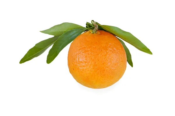 Oranje Mandarijn — Stockfoto