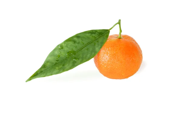 Una mandarina — Foto de Stock