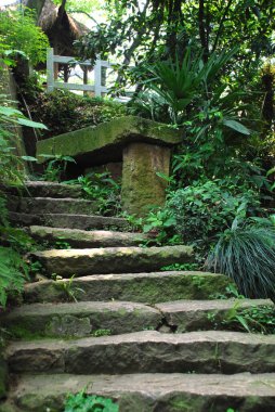 Dağ ormanında eski bankları ve yeşil otları olan antik taş merdivenler.