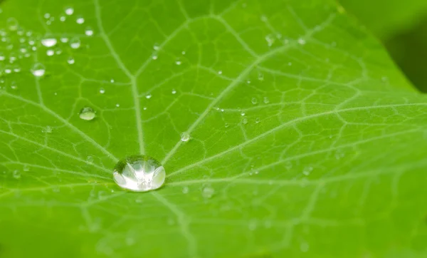 Água é vida — Fotografia de Stock