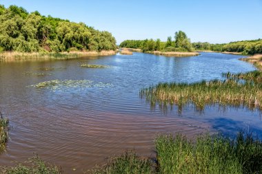 Göl ile güzel manzara
