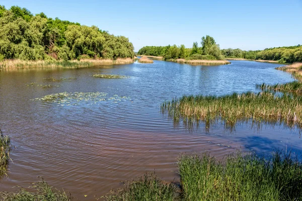 Göl ile güzel manzara