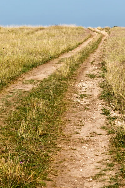 Summer landscape with yellow grass and road — Stock Photo, Image