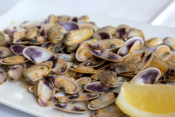 Typische Spaanse shellfood — Stockfoto