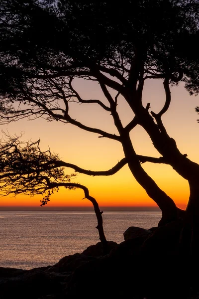 Okyanusun üzerinde gün batımı — Stok fotoğraf