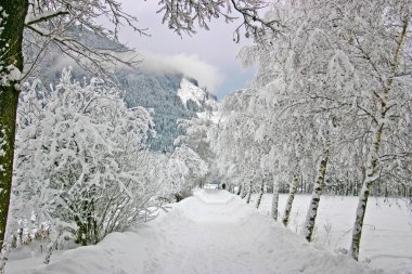 Kış manzara Avusturya