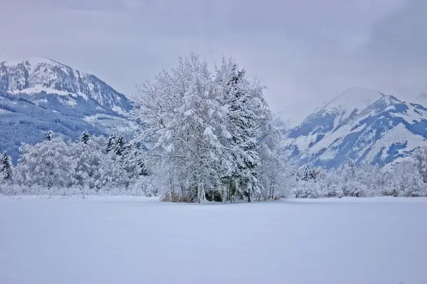 Paisaje invierno Austria — Foto de Stock