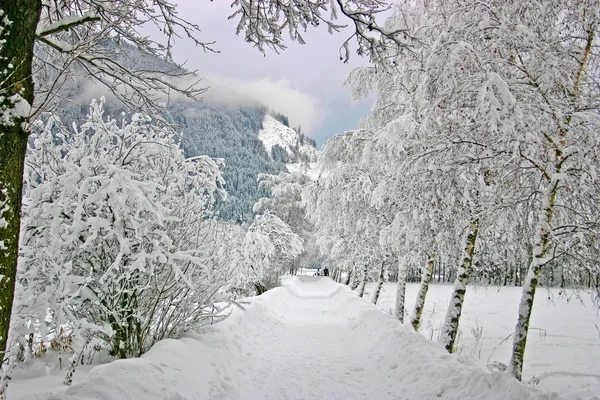 Paisaje invierno Austria — Foto de Stock