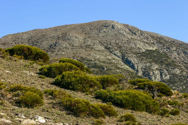 Dağlarda parlak güneşli sonbahar — Stok fotoğraf