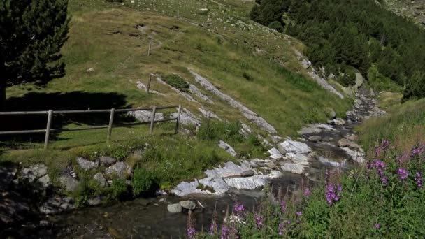 Güzel nehir detay Pyrenees (İspanya) Vall de Nuria üzerinde — Stok video