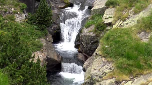 Nehir detay Pyrenees (İspanya) Vall de Nuria, Pyrenees dağ Vadisi üzerinde — Stok video