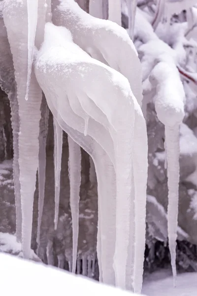 Dia frio de inverno — Fotografia de Stock