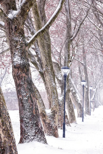 小巷里的下雪天 — 图库照片